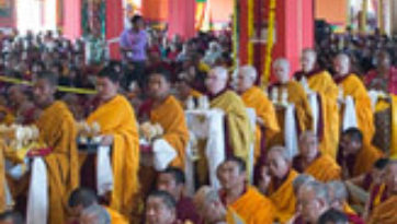 Longevity Empowerment, Long Life Offering